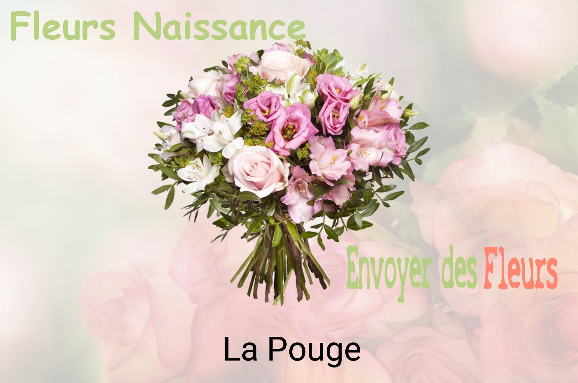 Bouquet de fleurs de naissance livré à La Pouge
